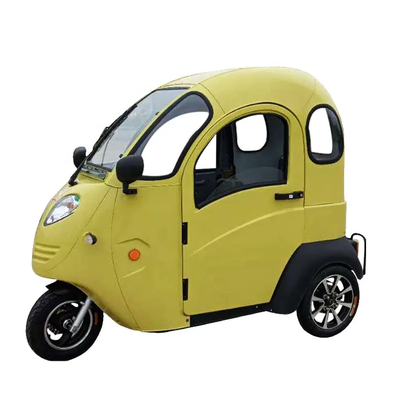 EEC COC tricycle à usage handicapé autre tricycle motorisé électrique à trois roues pour adultes