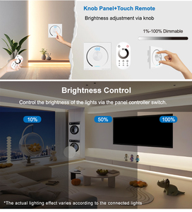 Панельный контроллер и сенсорный пульт дистанционного управления RF Remote PWM Dimmer настенный контроллер - Product Image 6