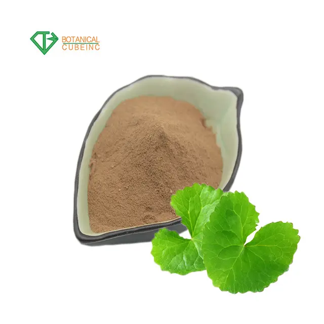 Kruid Hydrocotyle Asiatica Extract Poeder Asiaticoside 40% Gotu Kola Extract