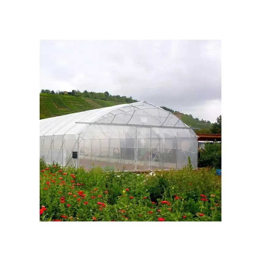 Popular design Custom High Tunnel Green House With Shade Net