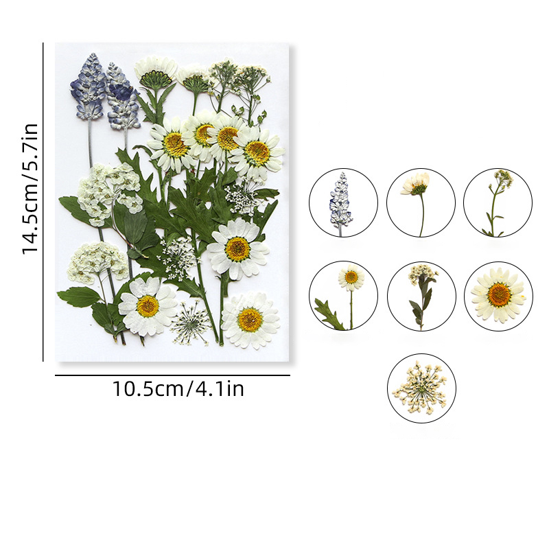 9 (16-23pcs)