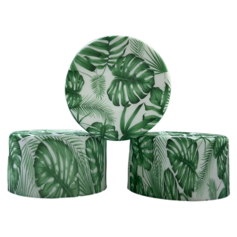 Bambou soutenu par tortue