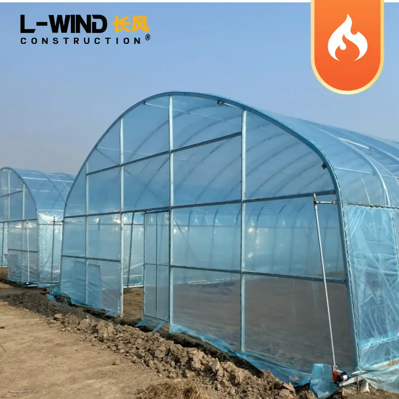 Green house agricultural large plastic film greenhouse China factory
