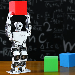 Ahududu Pi 4B Bionic insansı Robot TonyPi nesne izleme akıllı AI görsel tanıma Python programlama öğretim