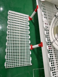 Tự động Gà Thịt ăn rò rỉ Phân tấm tự động gà trang trại nhà trung chuyển thức ăn nhựa Pan net giá rẻ sàn đá phiến - Product Image 6