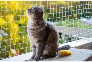 Hot Sale Strong Cat Protection Safety <strong>Net</strong> Transparent Mesh Heavy Duty Cat Fall Protect <strong>Net</strong> <strong>Balcony</strong> Windows Stairs Cat Safety <strong>Net</strong> - Product Image 3