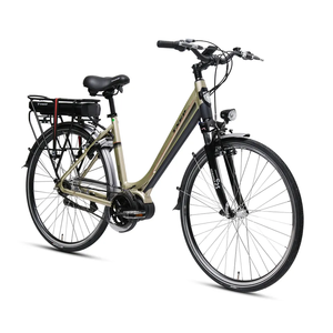 Txed Chất Lượng Cao Điện Giải Trí Xe Đạp Với 48V Giữa Gắn Động Cơ Và Đôi Tường Hợp Kim Rim 60Km Phạm Vi Cho Thành Phố Sử Dụng - Product Image 4