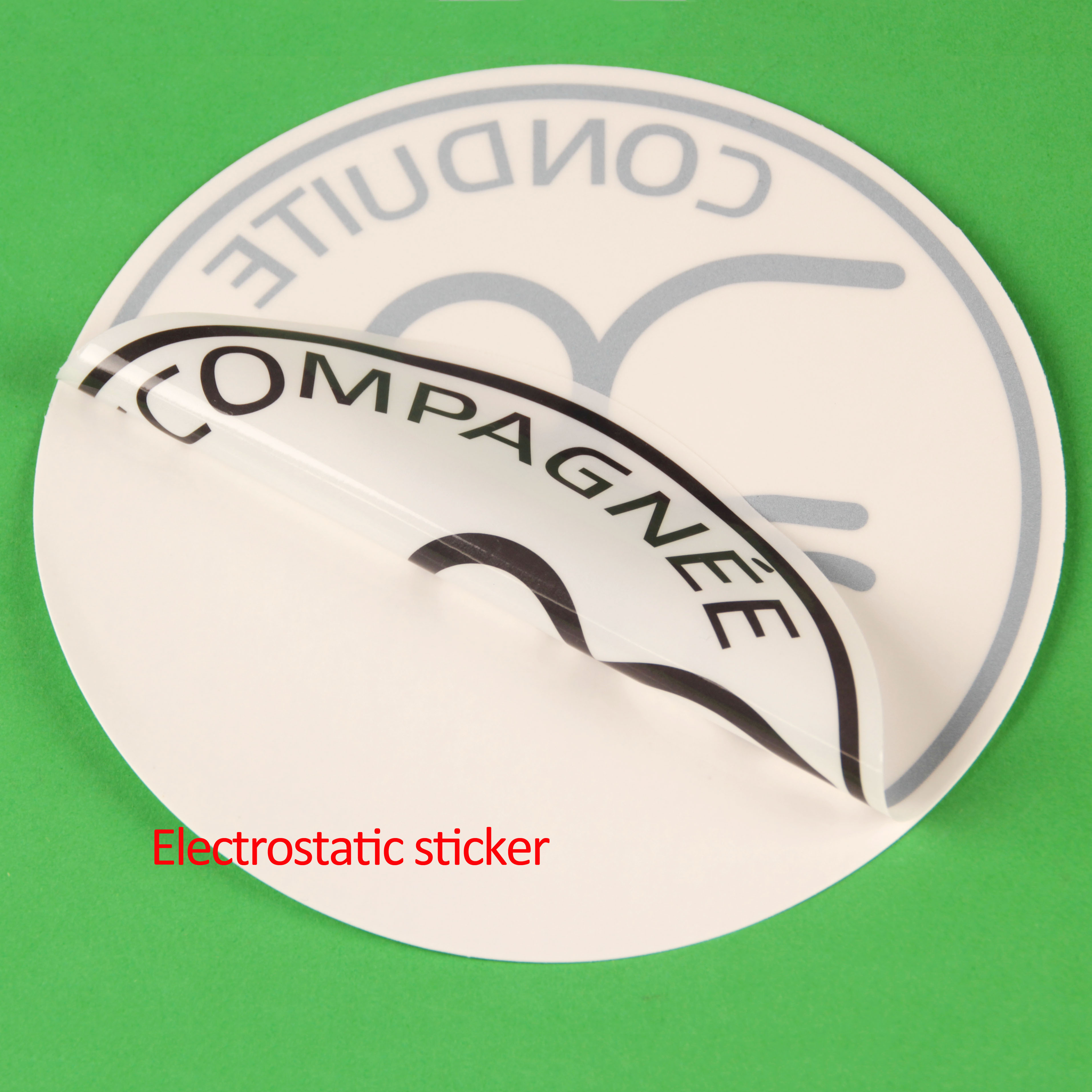 electrostatic accompagnee