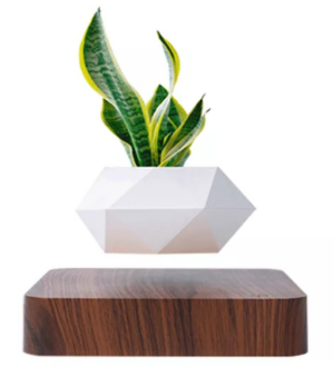 Square wood grain Dark brown base hexagon White platform