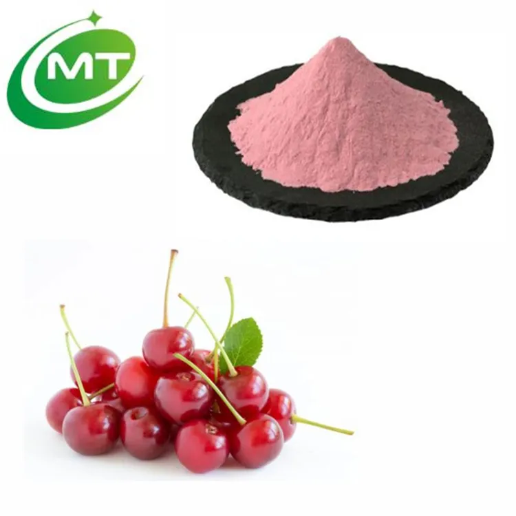 Bubuk ceri Tart kualitas terbaik alami murni bubuk ceri asam bubuk buah ceri Tart
