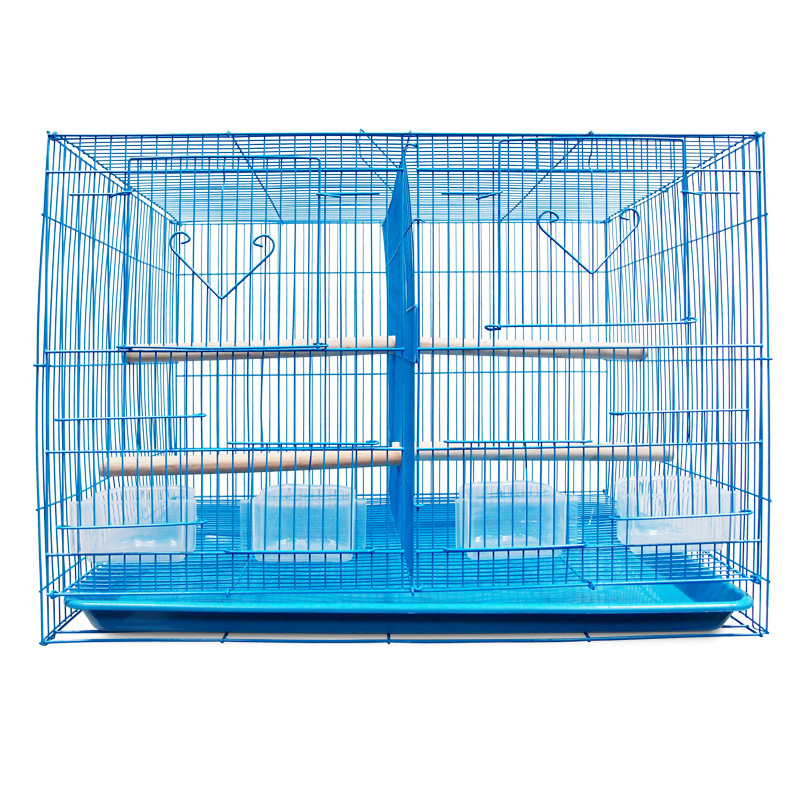 Bleu-01