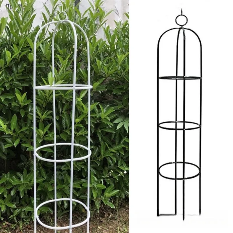 Plantas Horticulturais Pepino Tomate Uva Rose Flower Stand Clematis Escalada Stand Flower Stand Suporte Cilíndrico Rod