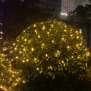 24 v 31 v 110 v 220 v solar-led-angellampe netz netz <span class=keywords><strong>string</strong></span> märchenlichter für diwali halloween weihnachten party hochzeit urlaub