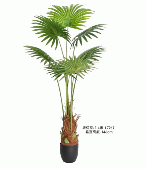 140cm