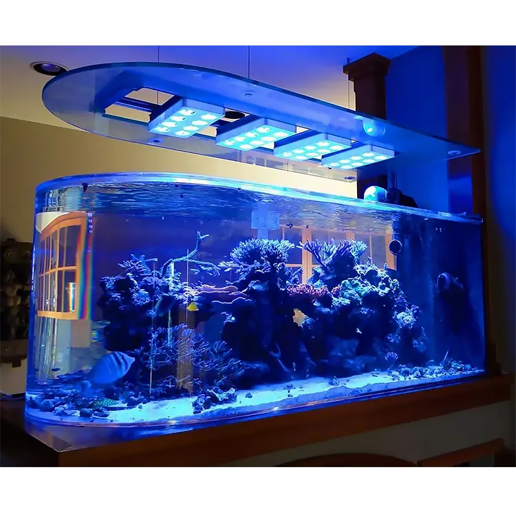ใหม่Castอะคริลิคพิพิธภัณฑ์สัตว์น้ำถังปลาสำหรับปลา/น้ำเค็ม/น้ำจืด,Acquario @