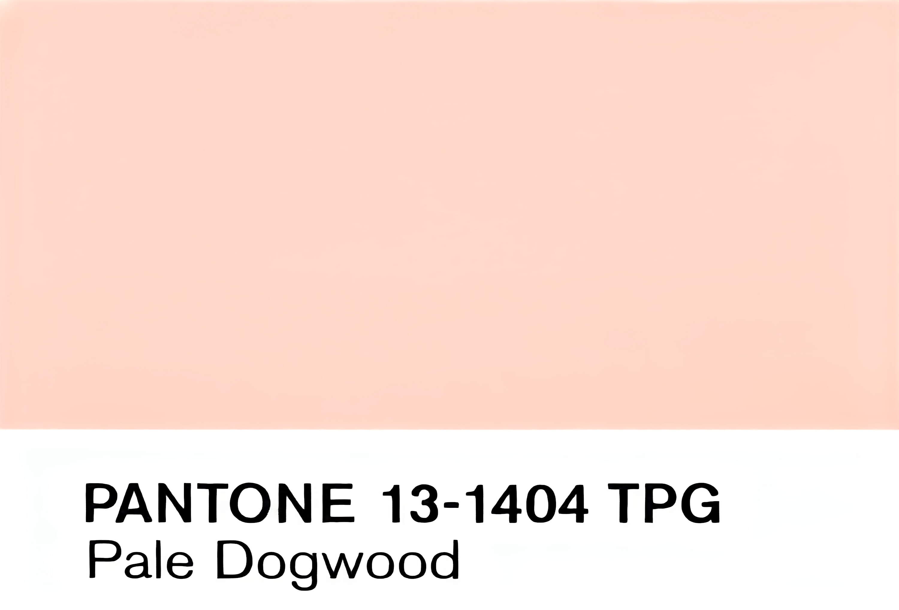 Pale Dogwood