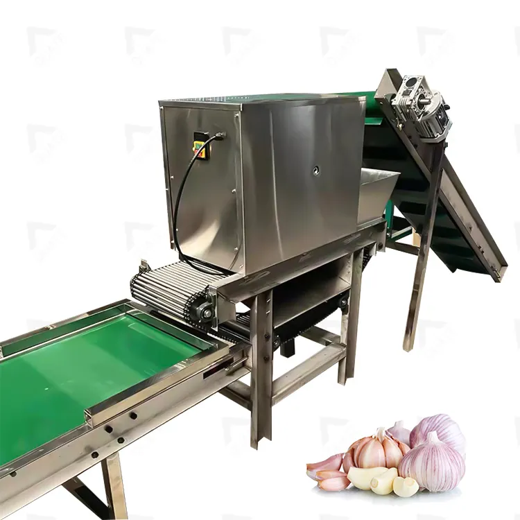 High Output Electric Garlic Peeler equipment Automatic Garlic washing line Garlic Peeling Machine Price