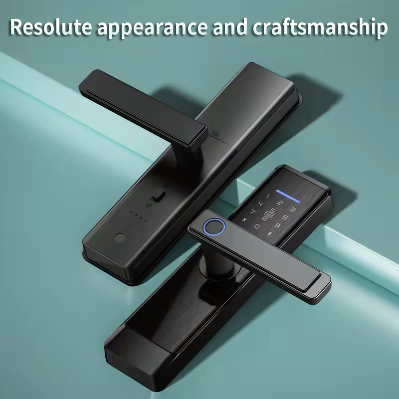New Smart Digital  Home Tuya Wifi/ BLE Ttlock App Waterproof Biometric Fingerprint Password Key Card Smart Door Lock