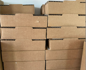 Nuovo sistema di controllo Beckhoff originale con una porta Ethernet commutata 512MB CX8090 - Product Image 3