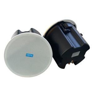 Multicanal Multi Room Powered Sonido estéreo Aplicación Controles WIIM Personalizado Hifi Activo Inalámbrico Bluetooth Wifi Altavoz de techo