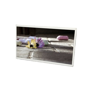 10,1-Zoll-Himbeer-Pi-Display 1024*600 TFT IPS-LCD-Display Kapazitives Touchscreen-Modul - Product Image 1