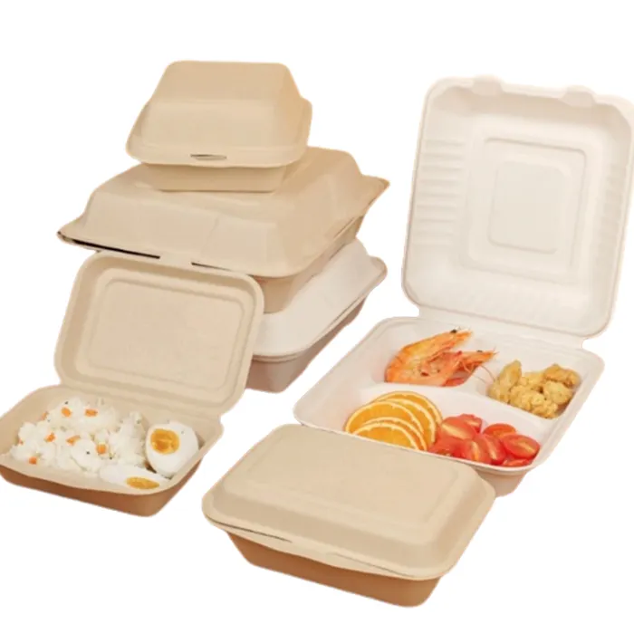 Mẫu Miễn Phí Compostable Thực Phẩm To-Go Container Dùng Một Lần Mía Bã Mía Bột Giấy Lấy Đi Thực Phẩm Hộp Ăn Trưa