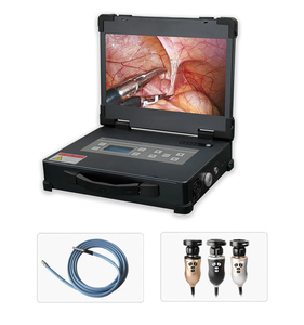 Gran precio, sistema médico portátil, pantalla de fuente de luz integrada, pantalla de endoscopio para procedimientos de imágenes médicas - Product Image 4