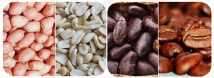 LFM-máquina peladora de granos de coco, cáscara de cáscara, descascaradora, granos de coco pequeños - Product Image 3