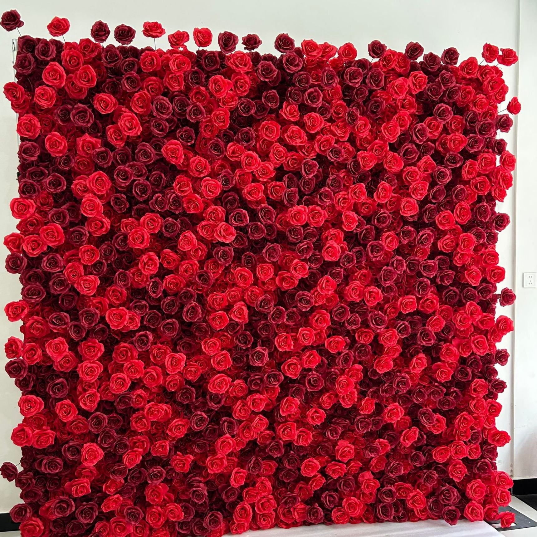 Rose garance