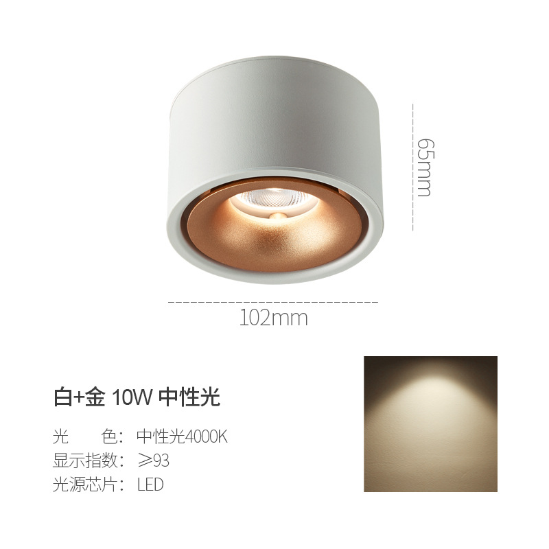 แพลทินัม10W