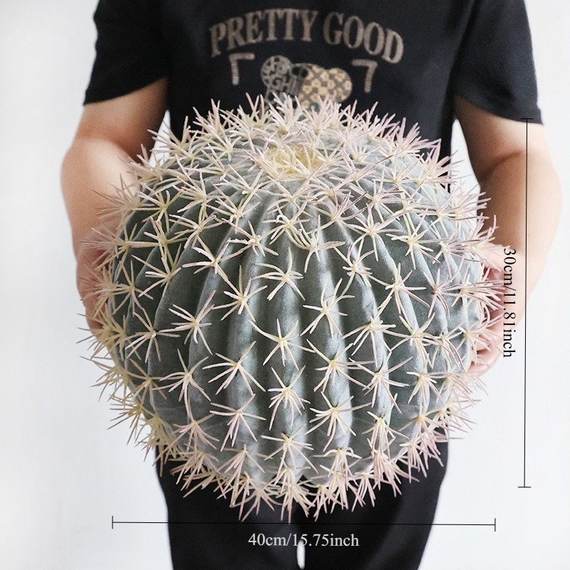 prickly frost spray cactus 40cm