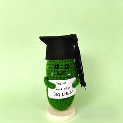 Dr concombre 4