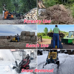 DP-S460 thủy lực thí điểm Mini Skid chỉ đạo Dingo phía trước nhỏ gọn loader giá tốt nhất nhỏ cargadora với khoan - Product Image 5