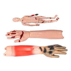 Medical Teaching Trauma <strong>Human</strong> Model Medical Simulator Teaching <strong>Human</strong> Model - Product Image 2