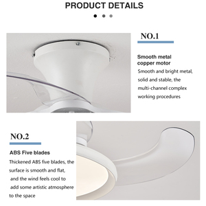 批发运行稳定低噪音变频双控Led吊扇灯 - Product Image 4