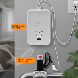 中国メーカーバッテリー式LPガス検知器12V 24V固定マルチガス検知器ホームセキュリティ火災警報システム - Product Image 4
