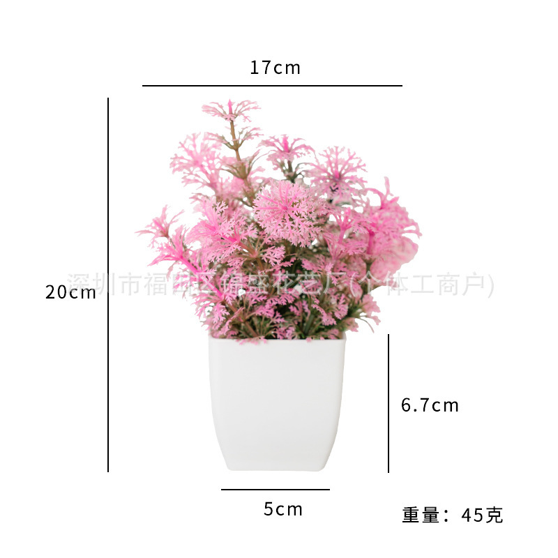Plantes aromatiques en pot