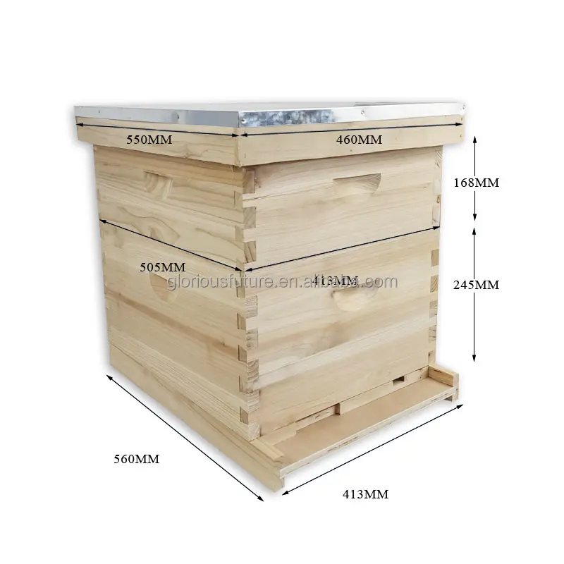 Suministros de apicultura de alta calidad al por mayor a granel, caja de colmena de dos capas, colmena de abejas