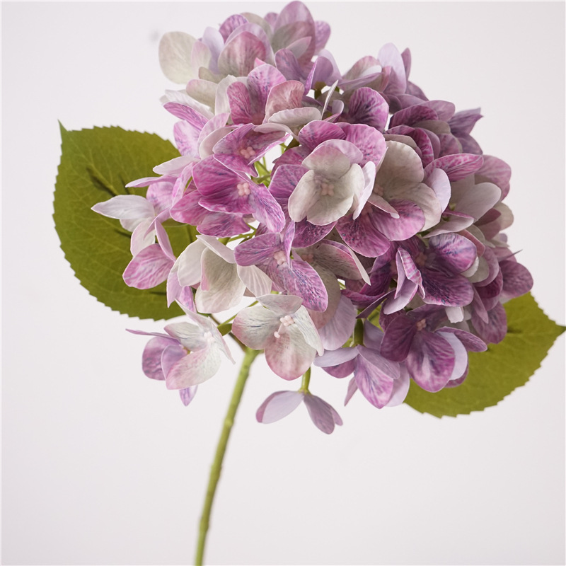 Hand print magic coral hydrangea-purple