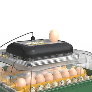 2025新しいデザイン引き出しタイプ安い70ミニインキュベーター自動給水 - Product Image 5
