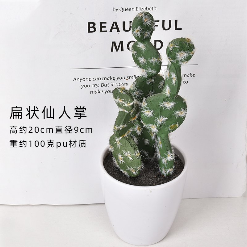 Cactus plat