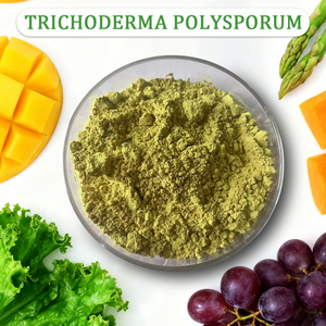 Hiệu quả cao 10-200 tỷ CFU/G <span class=keywords><strong>Trichoderma</strong></span> polysporum bột - Product Image 4