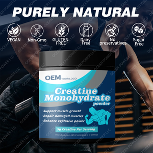 Bán buôn tinh khiết Creatine Monohydrate bột cơ bắp xây dựng protein bổ sung cho sức mạnh và tăng cường hiệu suất - Product Image 4