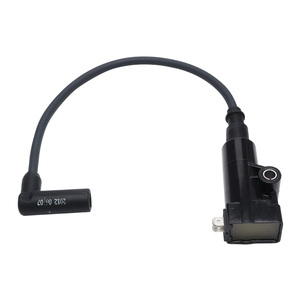 高性能オートバイEFI高電圧点火コイルDelphiシステム用-改造 & 交換部品 - Product Image 6