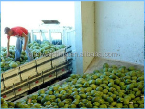Ticari PLC otomatik meyve Mango Pulper meyve Pulping suyu yapma makinesi Mango hamuru çıkarıcı - Product Image 6