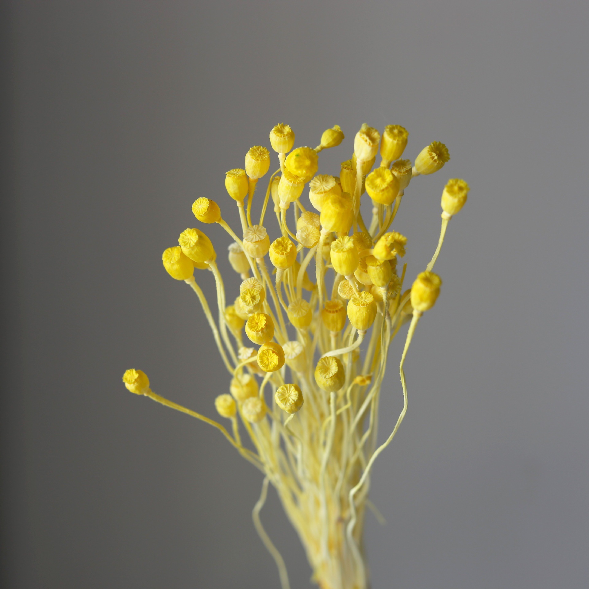Amarillo