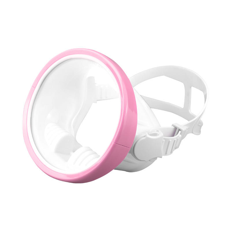 Rose avec boutons blancs