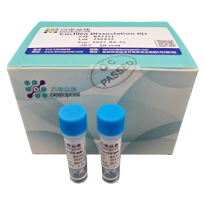Cochlea phân ly Kit (10 Test) phân ly mô cho nghiên cứu ISO 9001 ba3321 - Product Image 6
