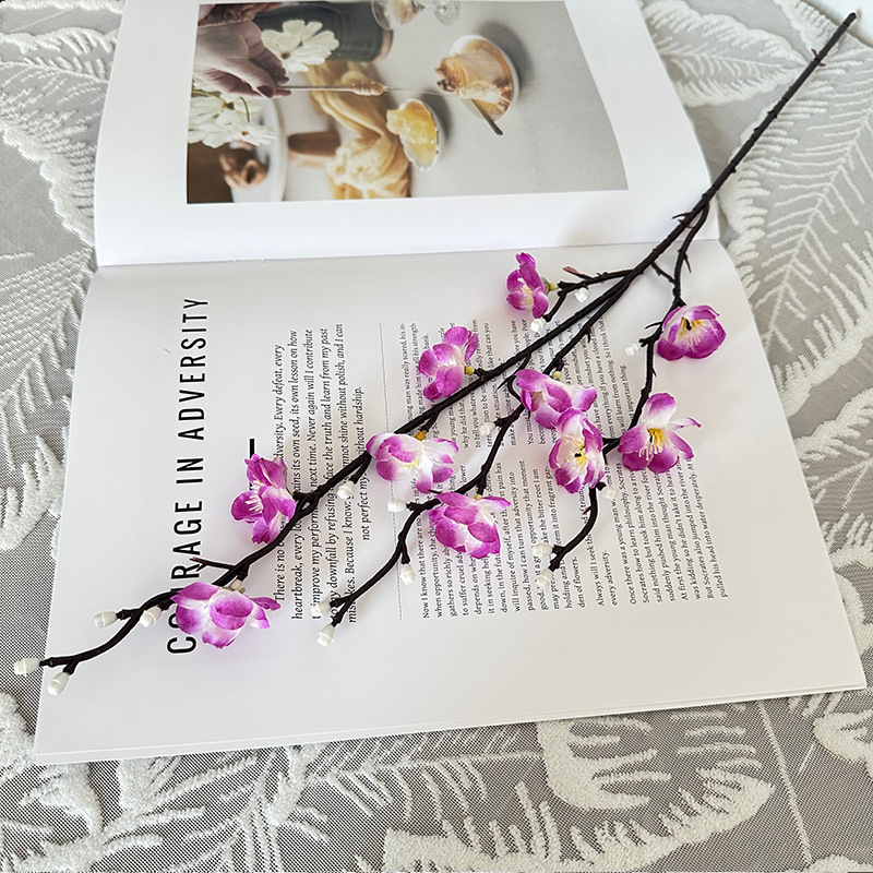 Mini Wintersweet, violet