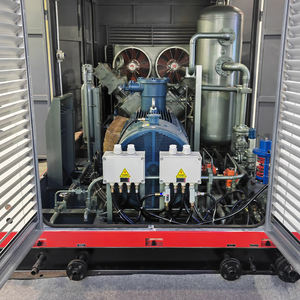 Profession elles Design Durchfluss Erdgas kolben kompressor Maschinen <span class=keywords><strong>CNG</strong></span> Einlass 30Bar Entladung 250Bar Kern motor - Product Image 4